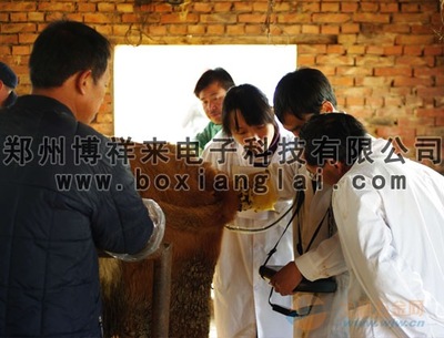 全球五金網 數字技術服務助力甘肅獸用B超市場高效對接真知供應商與“論件詢價”